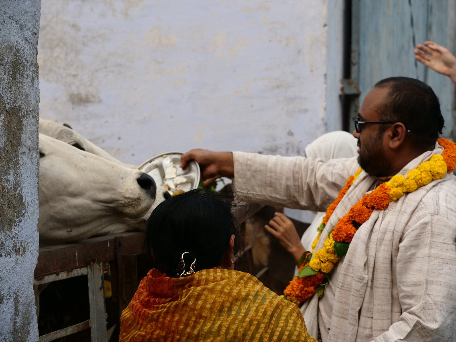  258 Gopashtami Radha kunda Govardhan 19.11.04